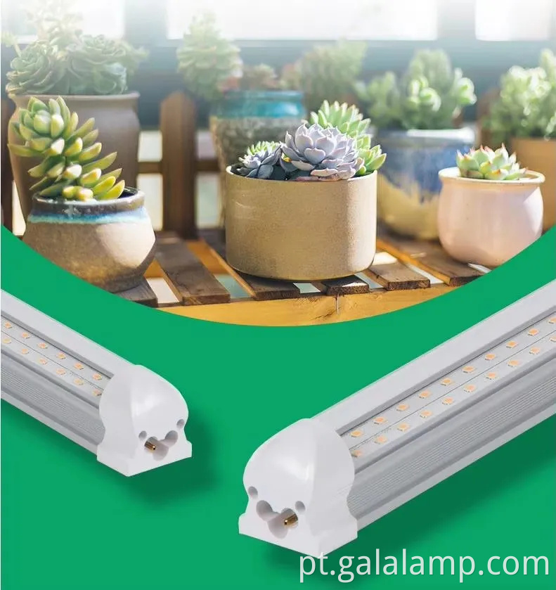 Cultive mudas, suplemento luz para crescimento, luz de planta T5 de espectro completo